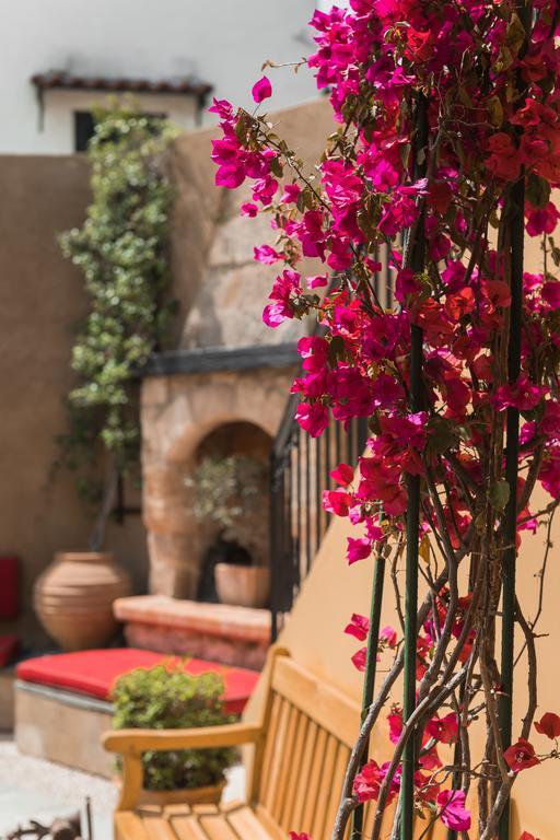 Bed & Breakfast Zacosta